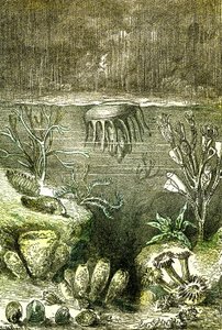 史前时代--大地与海洋：志留纪初期（J. Rengade.德马勒绘图。1885 作者 阿方斯·德马尔