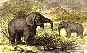 史前-中新世时期：从右到左：恐龙和乳齿象。 自然创造和生物。 A. Demarle 绘制。 1885年