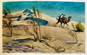 Dinet 绘制的插图，选自《海市蜃楼》中的阿拉伯生活场景。1906.Mirages, Scenes De La Vie Arab》由艾蒂安-迪内绘制插图，西尔曼-本-易卜拉欣-巴梅尔撰写评论。纳斯雷丁-迪内出生时的名字是阿尔方斯-艾蒂安-迪内（1861-1929 年），是一位法国作家。