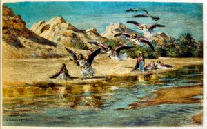 Dinet 的插图来自“海市蜃楼”阿拉伯生活场景。 1906 年，《海市蜃楼》《阿拉伯生活场景》由艾蒂安·迪内 (Etienne Dinet) 绘制插图，并由西尔曼·本·易卜拉欣·巴默 (Silman Ben Ibrahim Bamer) 进行评论。 纳斯雷丁·迪内 (Nasreddine Dinet) 出生时原名阿尔丰斯·艾蒂安·迪内 (Alphonse-Étienne Dinet)； （1861-1929）是法国东方人 作者 阿方斯·艾蒂安·迪内