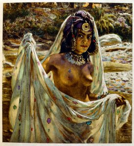 Dinet 绘制的插图，选自《海市蜃楼》中的阿拉伯生活场景。1906.Mirages, Scénes De La Vie Arab》由艾蒂安-迪内特绘制插图，西尔曼-本-易卜拉欣-巴默尔撰写评论。纳斯雷丁-迪内出生时的名字是阿尔方斯-艾蒂安-迪内（1861-1929 年），法国画家。