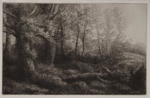林地研究 作者 阿方斯·莱格罗斯（Alphonse Legros）