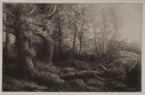 林地研究。 作者 阿方斯·莱格罗斯（Alphonse Legros）