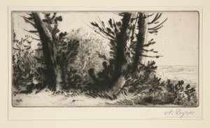 穿越冠军 作者 阿方斯·莱格罗斯（Alphonse Legros）