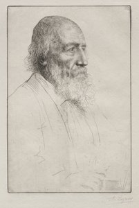 阿尔弗雷德-丁尼生 作者 阿方斯·莱格罗斯（Alphonse Legros）