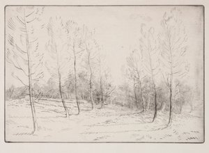 杨树大道 作者 阿方斯·莱格罗斯（Alphonse Legros）
