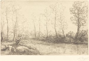 白桦树：晨光中的水边 作者 阿方斯·莱格罗斯（Alphonse Legros）