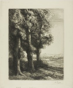 树林的边缘 作者 阿方斯·莱格罗斯（Alphonse Legros）