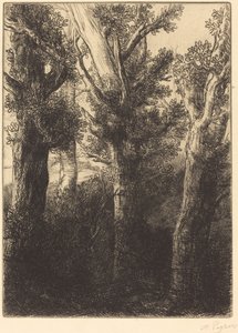 德国森林，唐利。 作者 阿方斯·莱格罗斯（Alphonse Legros）