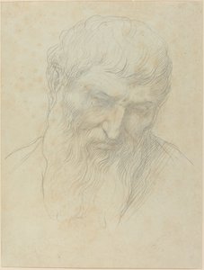 卷发和胡须的男子头像。 作者 阿方斯·莱格罗斯（Alphonse Legros）