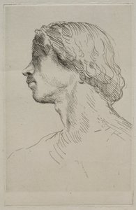 模特头像 作者 阿方斯·莱格罗斯（Alphonse Legros）