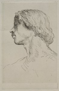 模型负责人。 作者 阿方斯·莱格罗斯（Alphonse Legros）