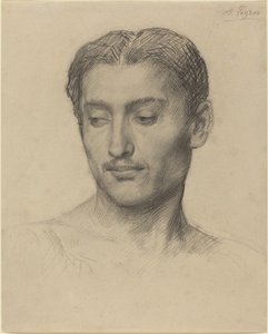 一个年轻人的头 作者 阿方斯·莱格罗斯（Alphonse Legros）