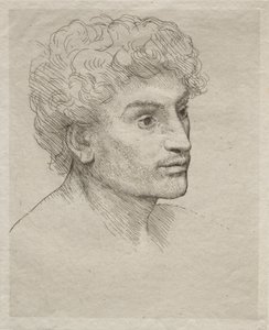 年轻人的头像 作者 阿方斯·莱格罗斯（Alphonse Legros）