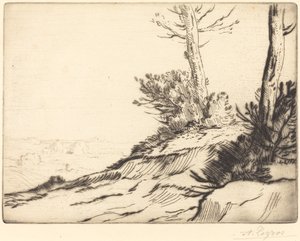 有灌木丛的山丘 La butte aux brousailles. 作者 阿方斯·莱格罗斯（Alphonse Legros）