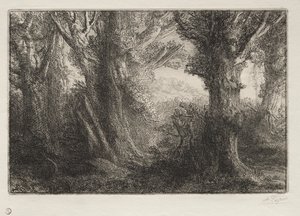 康特维尔森林 作者 阿方斯·莱格罗斯（Alphonse Legros）