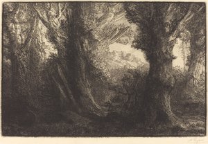 在康特维尔的森林里 Dans la foret de Conteville. 作者 阿方斯·莱格罗斯（Alphonse Legros）