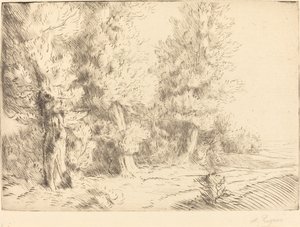 在枫丹白露的森林里 Dans la foret de Fontainebleau. 作者 阿方斯·莱格罗斯（Alphonse Legros）