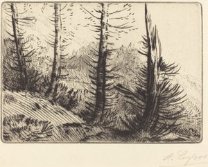 在比利牛斯山脉 Dans les Pyrenees. 作者 阿方斯·莱格罗斯（Alphonse Legros）
