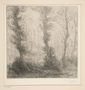 小湖 作者 阿方斯·莱格罗斯（Alphonse Legros）