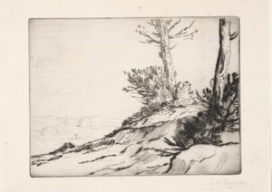刷子山 作者 阿方斯·莱格罗斯（Alphonse Legros）