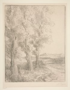 La liseuse：La lecture sous les arbres（妇女阅读：树下的课程） 作者 阿方斯·莱格罗斯（Alphonse Legros）