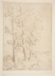 La liseuse：La lecture sous les arbres（妇女阅读：树下的课程） 作者 阿方斯·莱格罗斯（Alphonse Legros）