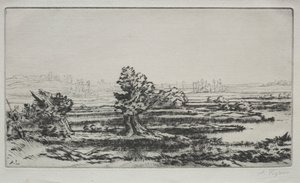 景观 作者 阿方斯·莱格罗斯（Alphonse Legros）