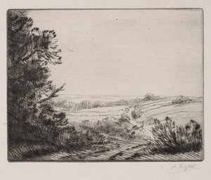景观。 作者 阿方斯·莱格罗斯（Alphonse Legros）