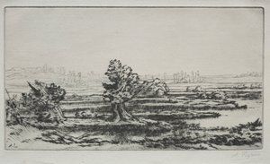 景观。 作者 阿方斯·莱格罗斯（Alphonse Legros）