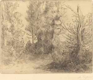 景观：靠近Chailleux (Paysage: Pres Chailleux) 作者 阿方斯·莱格罗斯（Alphonse Legros）