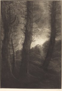 阳光下的大树 大树：晚间效果。 作者 阿方斯·莱格罗斯（Alphonse Legros）