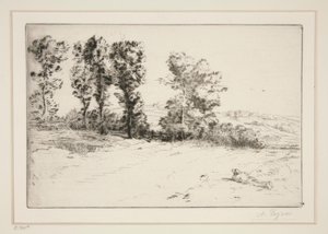 阳光下的草地 作者 阿方斯·莱格罗斯（Alphonse Legros）