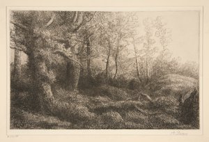 利赛雷-德-福雷特 作者 阿方斯·莱格罗斯（Alphonse Legros）