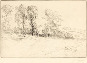 阳光下的草地 作者 阿方斯·莱格罗斯（Alphonse Legros）