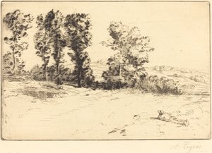 阳光下的草地 Le pre ensoleille. 作者 阿方斯·莱格罗斯（Alphonse Legros）