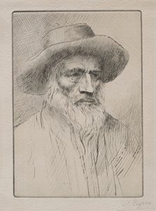 孚日山脉 作者 阿方斯·莱格罗斯（Alphonse Legros）
