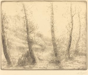 小湖 作者 阿方斯·莱格罗斯（Alphonse Legros）