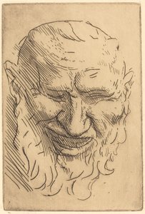小萨提尔面具 小萨提尔面具。 作者 阿方斯·莱格罗斯（Alphonse Legros）