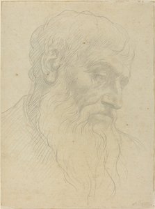 头部的研究。 作者 阿方斯·莱格罗斯（Alphonse Legros）