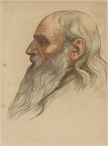 蓄满胡须的男子头部研究 作者 阿方斯·莱格罗斯（Alphonse Legros）