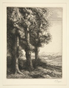 三棵树 作者 阿方斯·莱格罗斯（Alphonse Legros）