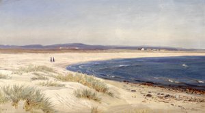 挪威语  Mennesker på en strand 海滩上的人们
