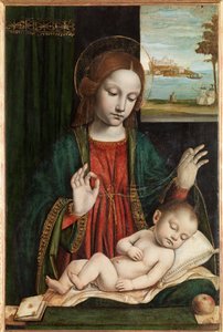 Madonna and Sleeping Child (Madonna of the Veil)