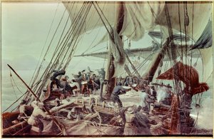 路易斯安那由布干维尔伯爵路易斯·安托万 (1729-1811) 发现