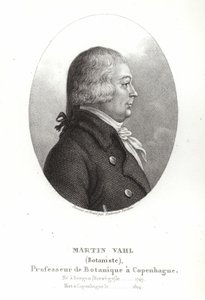 马丁瓦尔 作者 安布罗斯·塔迪厄（Ambroise Tardieu）