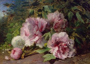 牡丹研究，1874年 作者 阿米迪·鲍迪（Amedee Baudit）