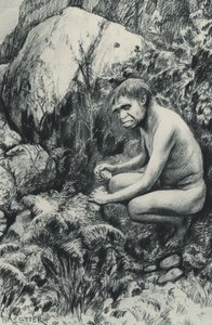 老高原的古代租户，也许是一万个世纪前 作者 阿梅迪·福雷斯蒂尔