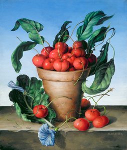 在赤土陶器的樱桃与蓝色花 作者 阿米莉亚·克莱瑟（Amelia Kleiser）