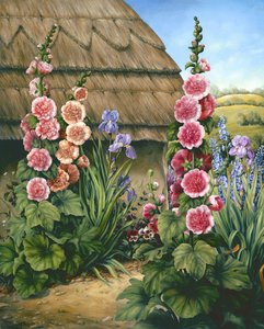蜀葵小屋花园，1995